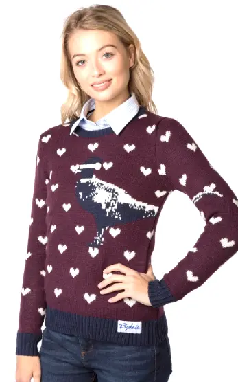 Women’s Christmas Jumper for Office