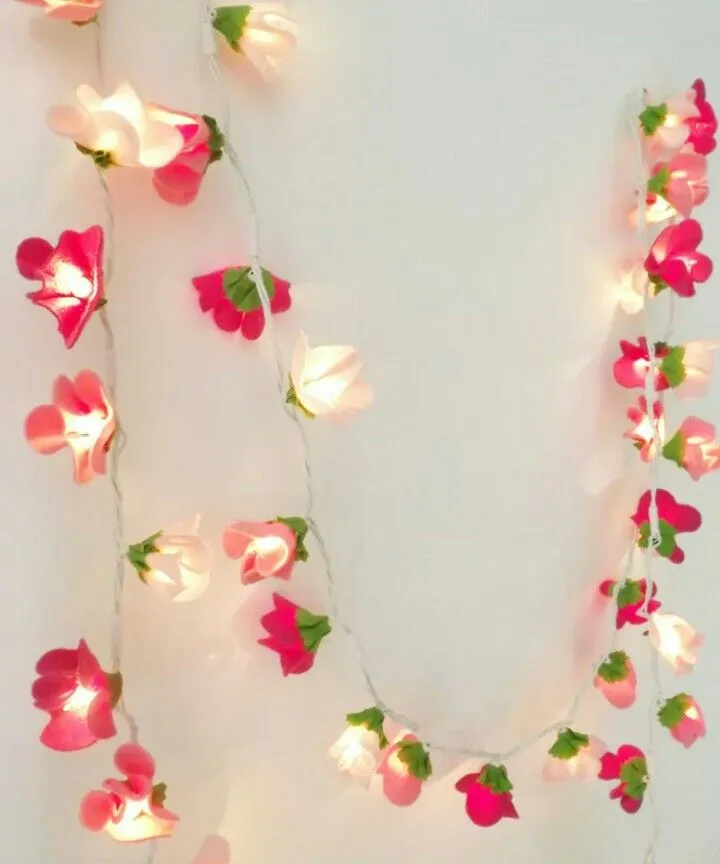 String LightsFairy Lights